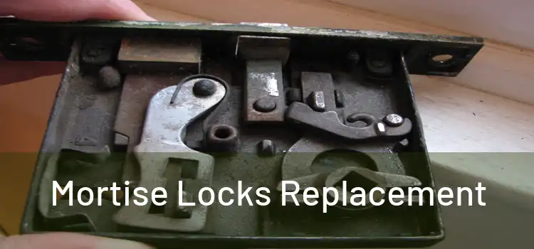  Mortise Locks Replacement 
